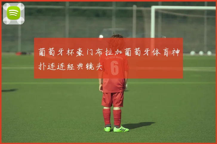 葡萄牙杯豪门布拉加葡萄牙体育神扑连连经典镜头