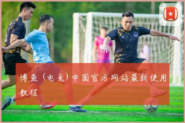 博鱼 (电竞)中国官方网站最新使用教程