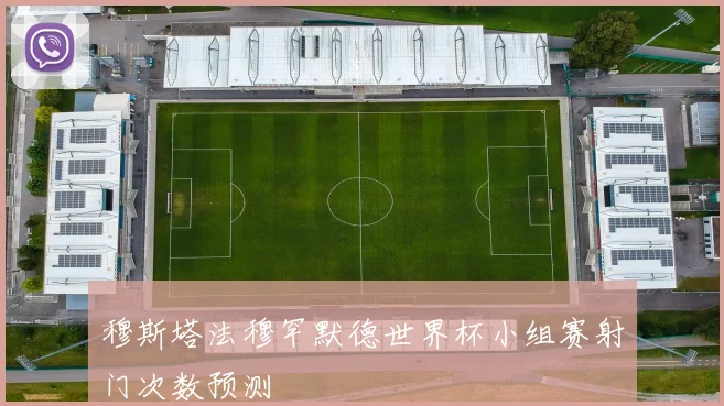 穆斯塔法穆罕默德世界杯小组赛射门次数预测