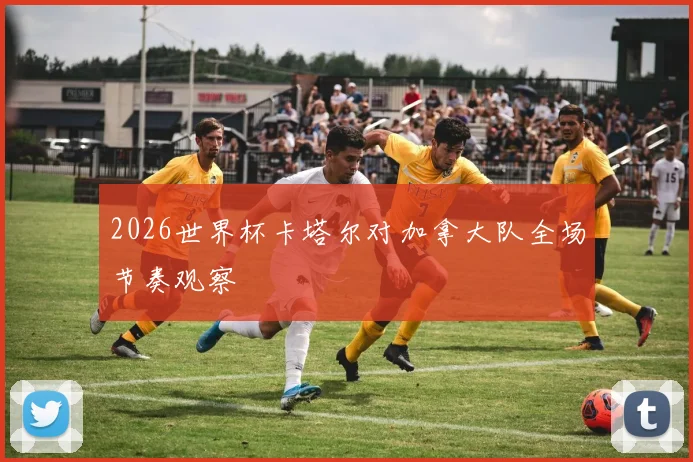 2026世界杯卡塔尔对加拿大队全场节奏观察