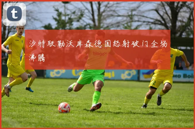 沙特联勒沃库森德国怒射破门全场沸腾